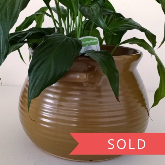 Ceramic Rippled Pot - Picture 1 of 9